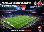 世界杯让球盘球队赢盘率：洞察赛场背后的赔率秘密