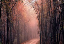 勇士在主场大胜湖人，库里得分破纪录