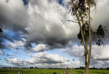 火箭惨遭横扫，遭遇窘境