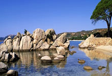 篮网以117比112取胜骑士